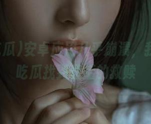 安卓应用几乎崩溃，我在17c吃瓜找到最后的救赎
