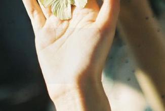 51.com下载门槛低，瓜吃得欢，心情没烦恼！