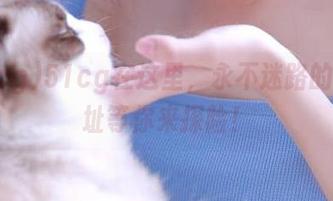 51cg在这里，永不迷路的ip地址等你来探险！