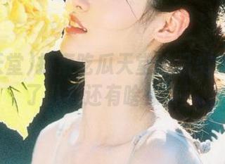 探索吃瓜天堂的另类线路：除了八卦还有啥惊喜？
