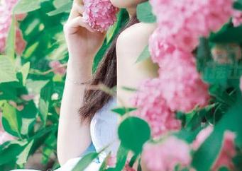 iOS＆吃瓜网：黑料站摆出一场别开生面的群嘲大赛。