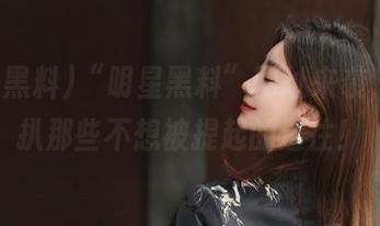 “明星黑料”网址来袭，扒一扒那些不想被提起的过往！