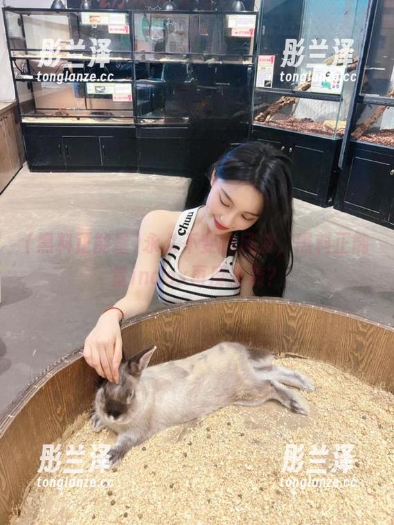 黑料正能量 永久不变的风波,黑料正能量index再度来袭?